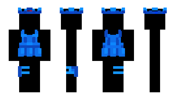 Minecraft skin 69Cami