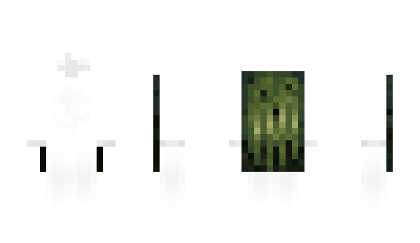 Minecraft скин по нику hewti