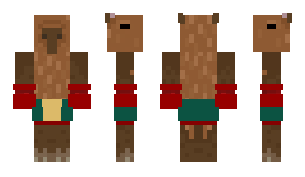 Minecraft skin LUFFY1111