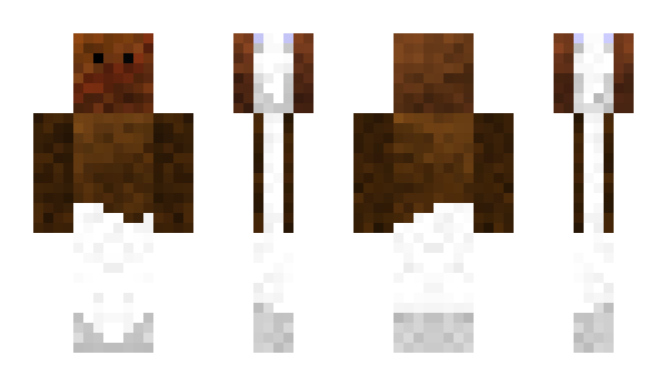 Minecraft skin _TeTe