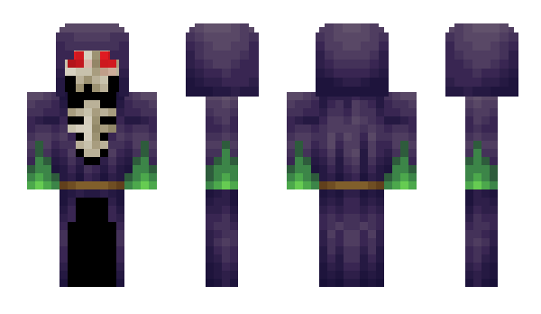 Minecraft skin TOJTEK