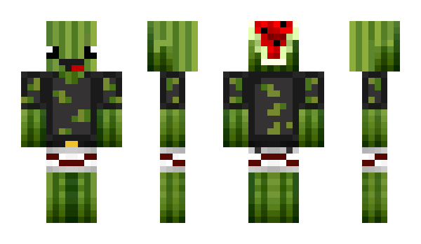 Minecraft скин по нику pippokat