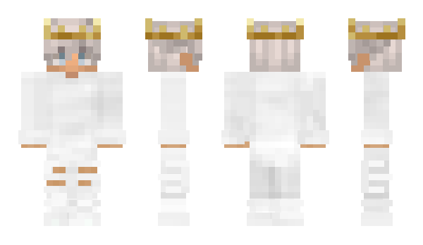 Minecraft skin e5v2a2n