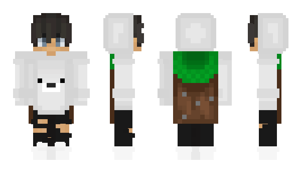 Minecraft skin TrueTrapper