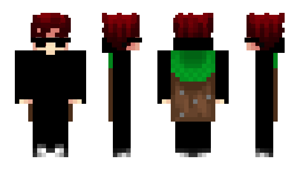 Minecraft скин по нику Dani_0