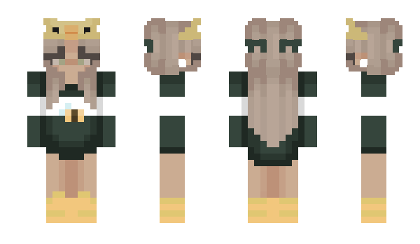 Minecraft skin _taichu