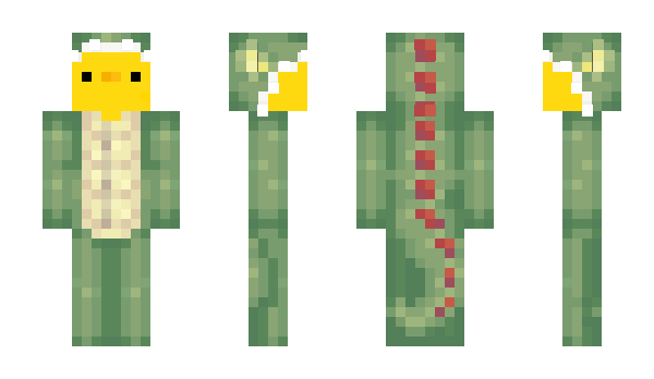 Minecraft skin akkommodabel