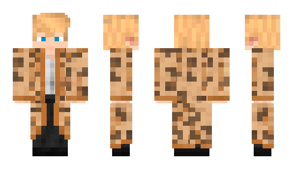 Minecraft skin HatCatik