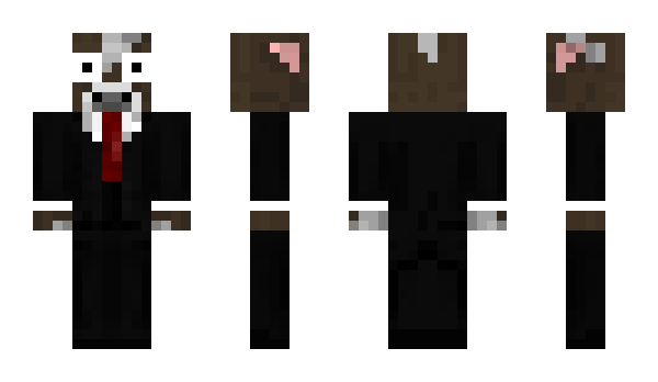 Minecraft skin kokser