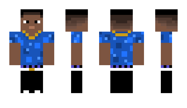 Minecraft skin Catger