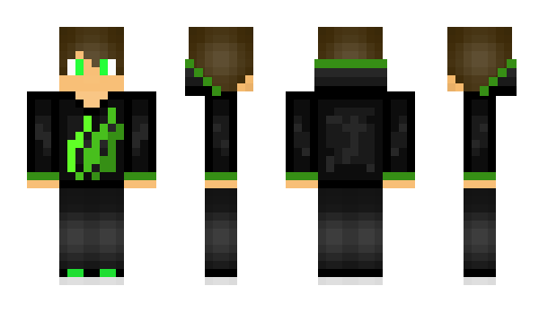 Minecraft skin Flapli