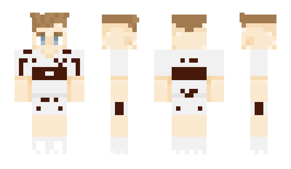 Minecraft skin Vlaster