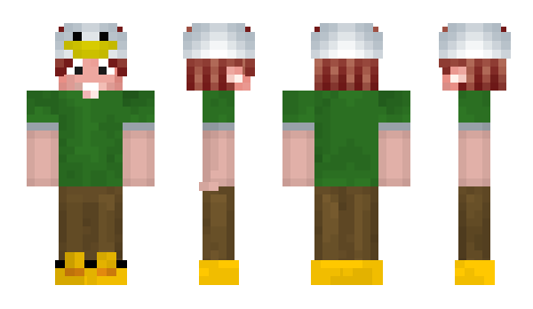 Minecraft skin NeLiN_
