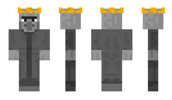 Minecraft skin Toasterpal