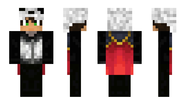 Minecraft skin BH6X