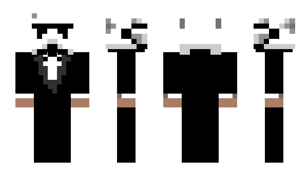 Minecraft skin Badliion