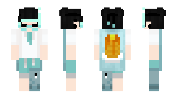 Minecraft skin FastBuch