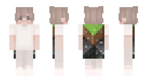 Minecraft skin wvha