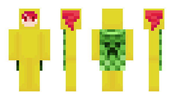 Minecraft скин по нику jbirbj