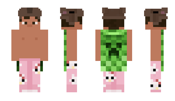Minecraft skin Blestt