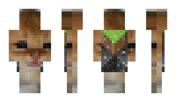 Minecraft skin bbiboi