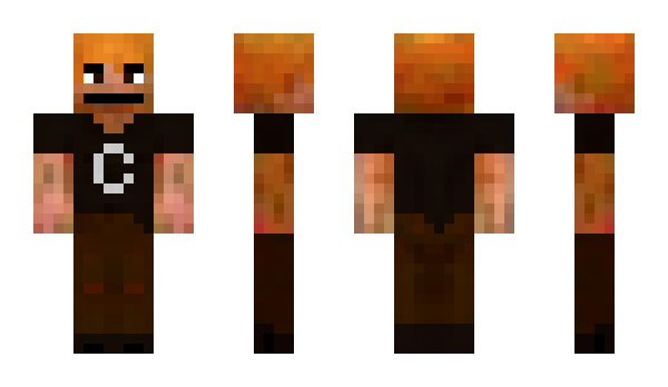 Minecraft skin shwinshfiger