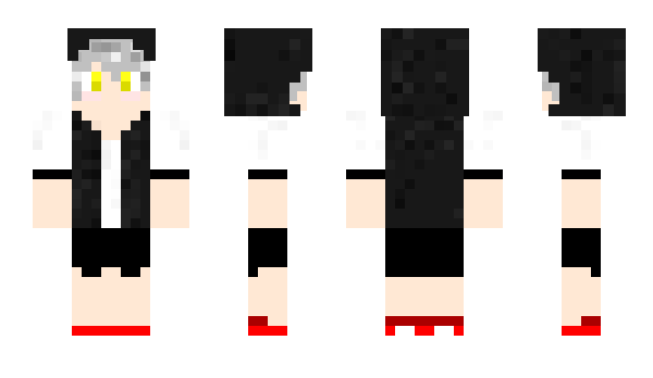 Minecraft skin NiceZaKunG