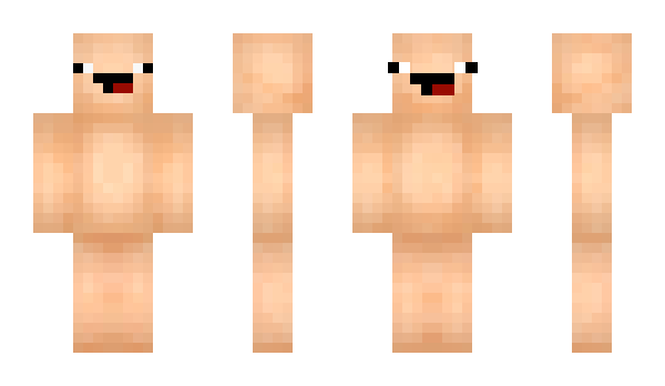 Minecraft skin _broken_