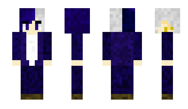 Minecraft skin Connexio