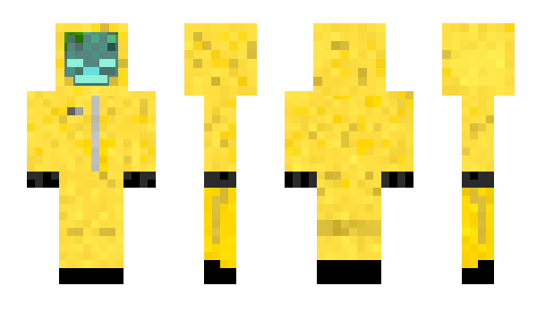 Minecraft skin mrchunks