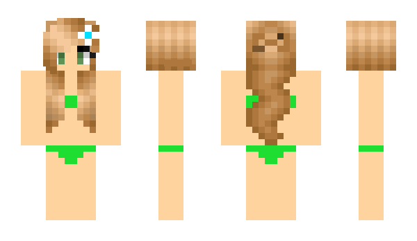 Minecraft skin LITTYCOMMITIE