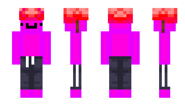 Minecraft skin katilhazretleri