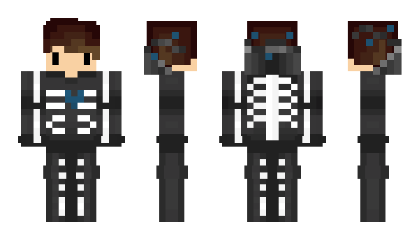 Minecraft skin Slysu