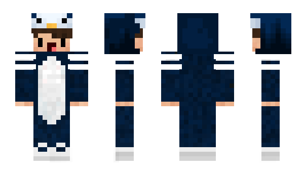 Minecraft skin Cameralo