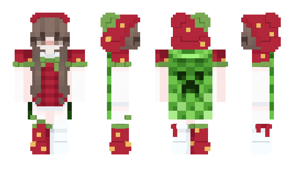 Minecraft skin Hector_CE