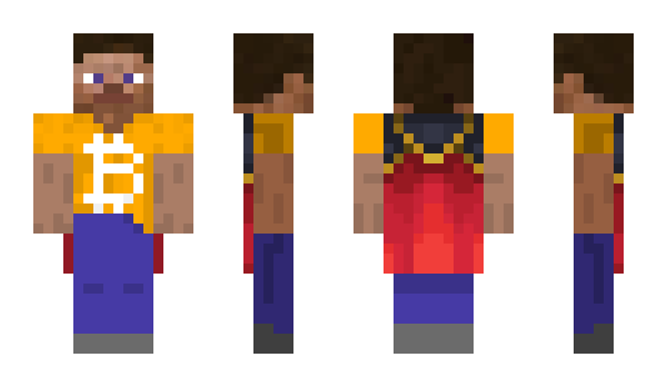 Minecraft skin WhatTheBitcoin