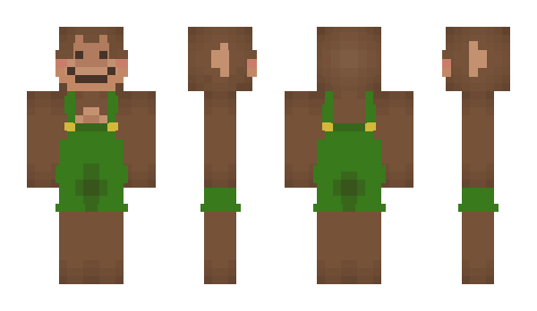 Minecraft skin ChangoTonto