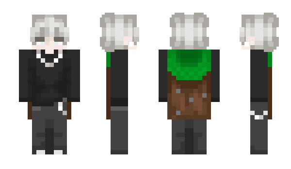 Minecraft skin qxpvo