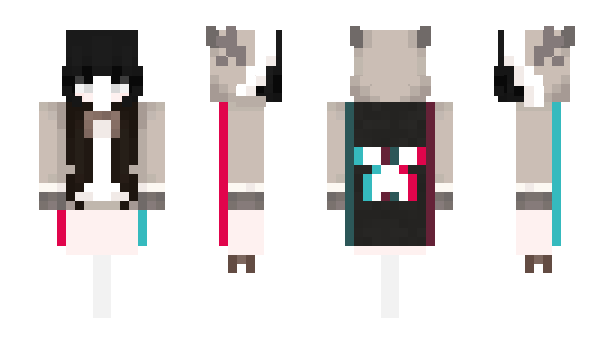 Minecraft skin Cam2is