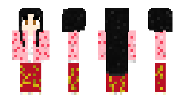 Minecraft skin shnx