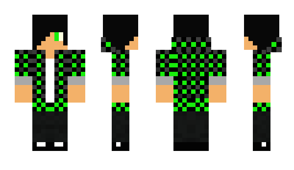 Minecraft skin stanj