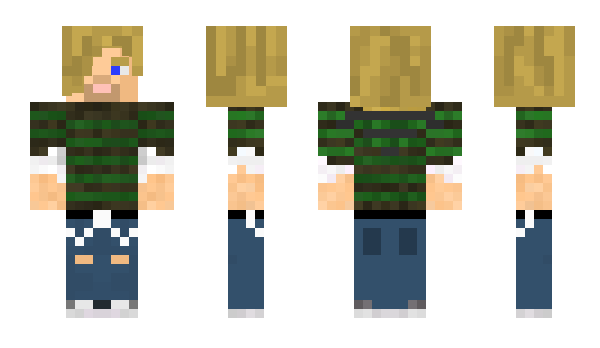 Minecraft skin flannelguy
