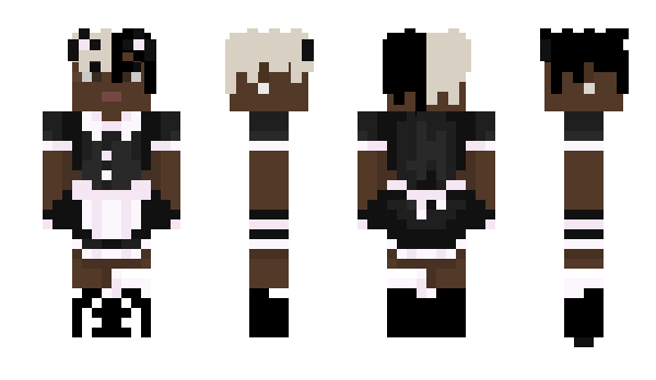 Minecraft skin ragusea