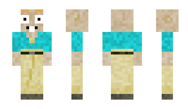 Minecraft skin ninjanoobs