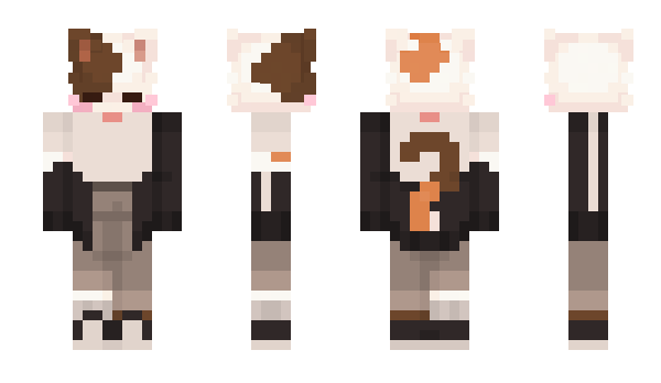 Minecraft skin maxxdisc