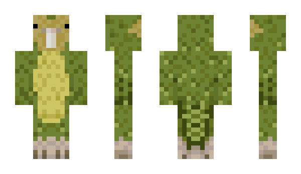 Minecraft skin Kakapo
