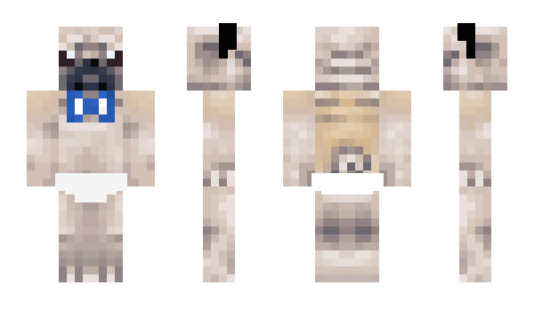 Minecraft skin fccr