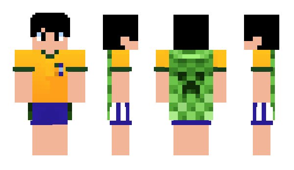 Minecraft skin Sobretodos