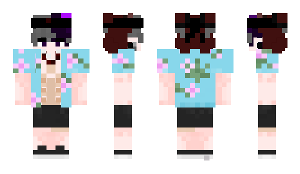 Minecraft skin Raoul096_yt