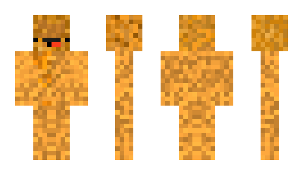 Minecraft skin CE007